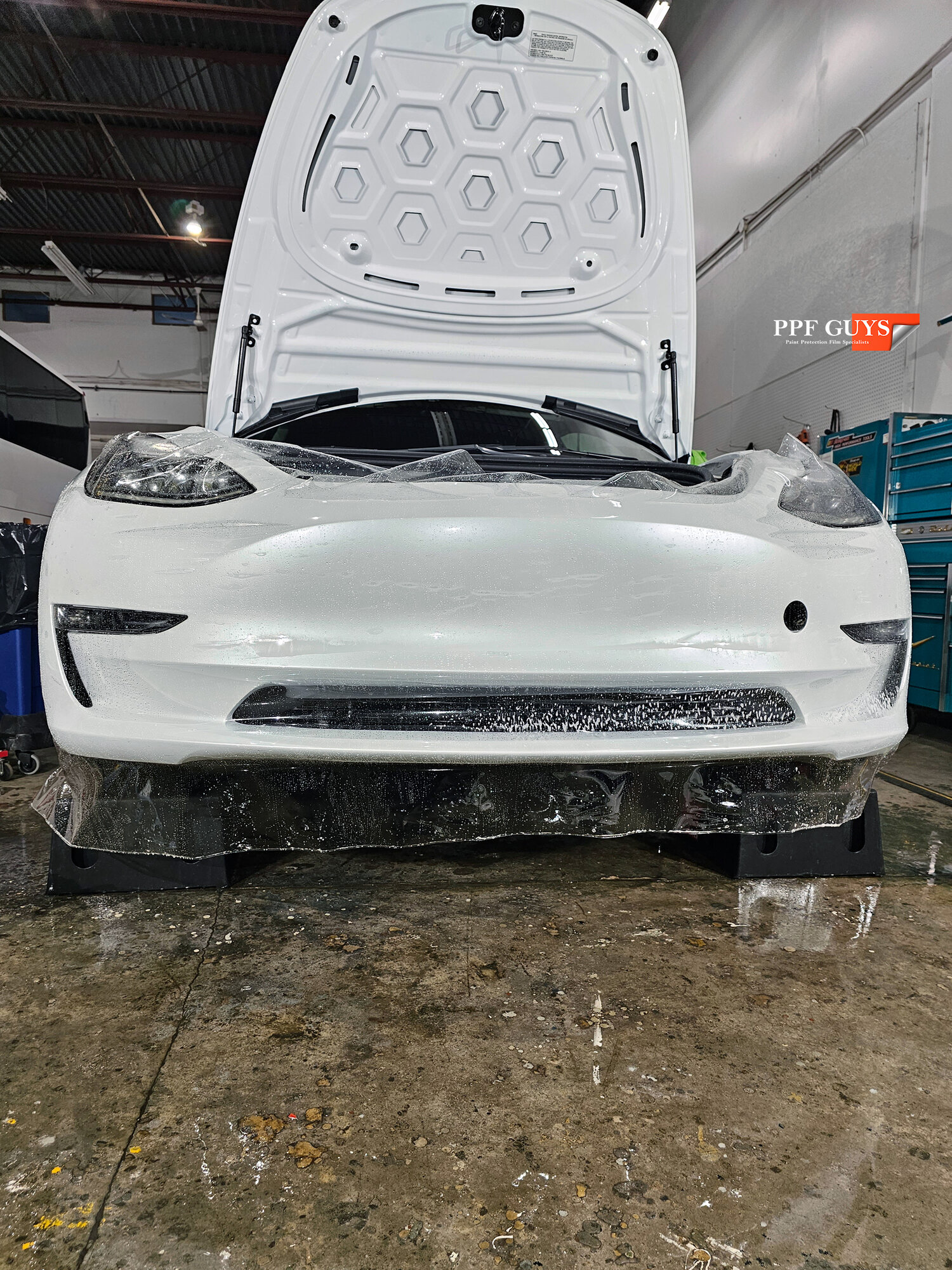 PPF Guys Model 3 White. PPF Bumper scraped and Replacement (8).jpg