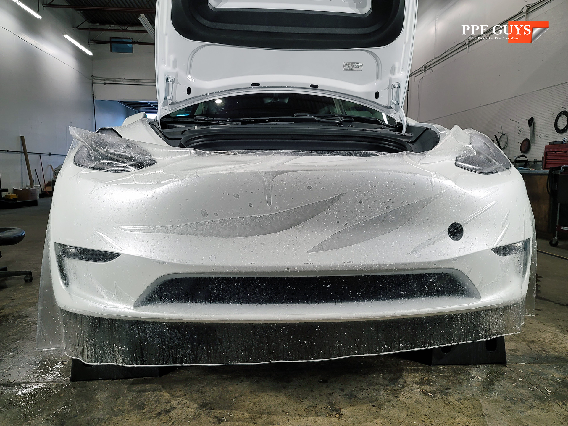 PPF Guys Model Y White Xpel Stealth, ceramic, painted emblems (1).jpg