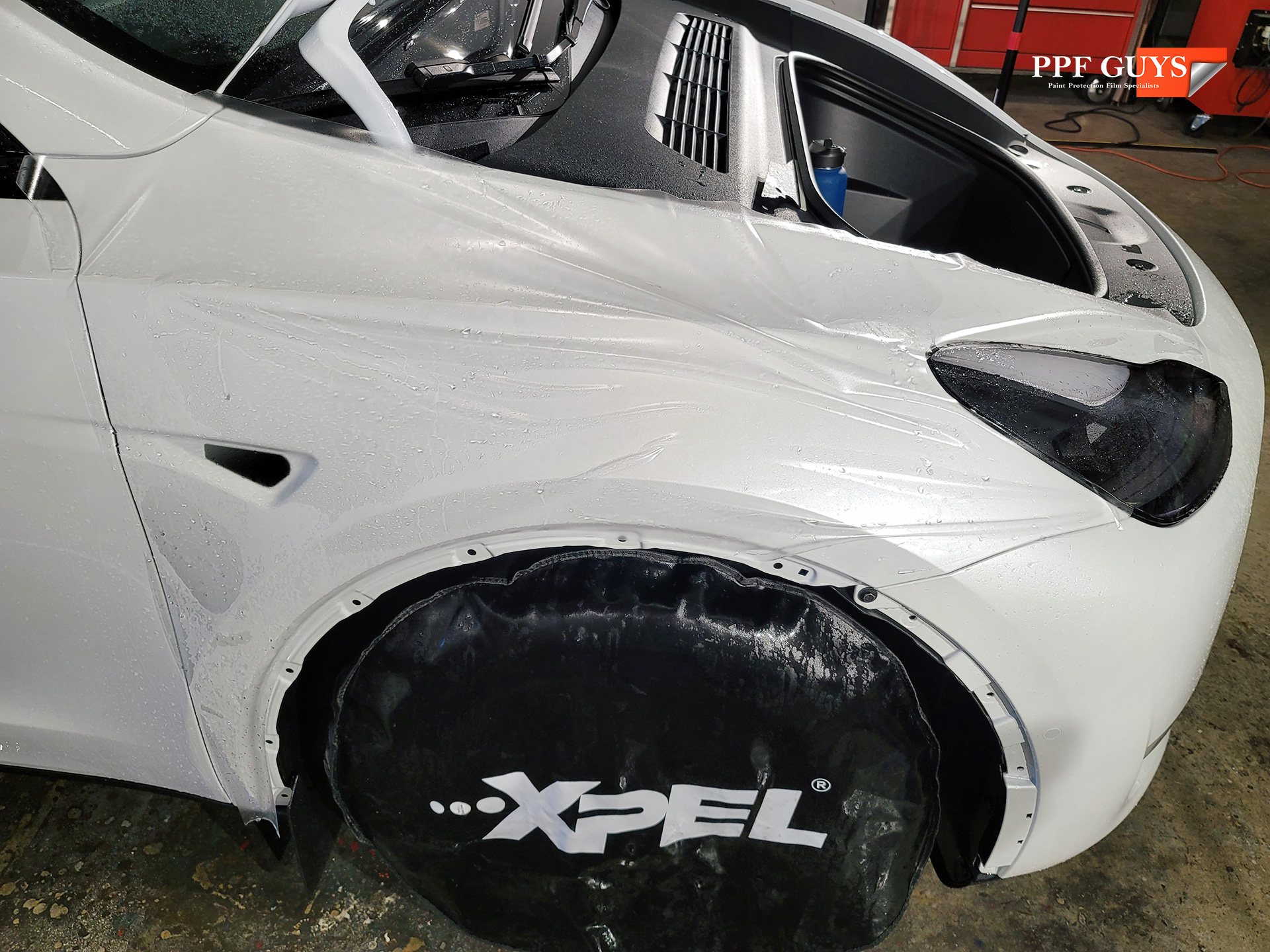 PPF Guys Model Y White Xpel Stealth, ceramic, painted emblems (10).jpg
