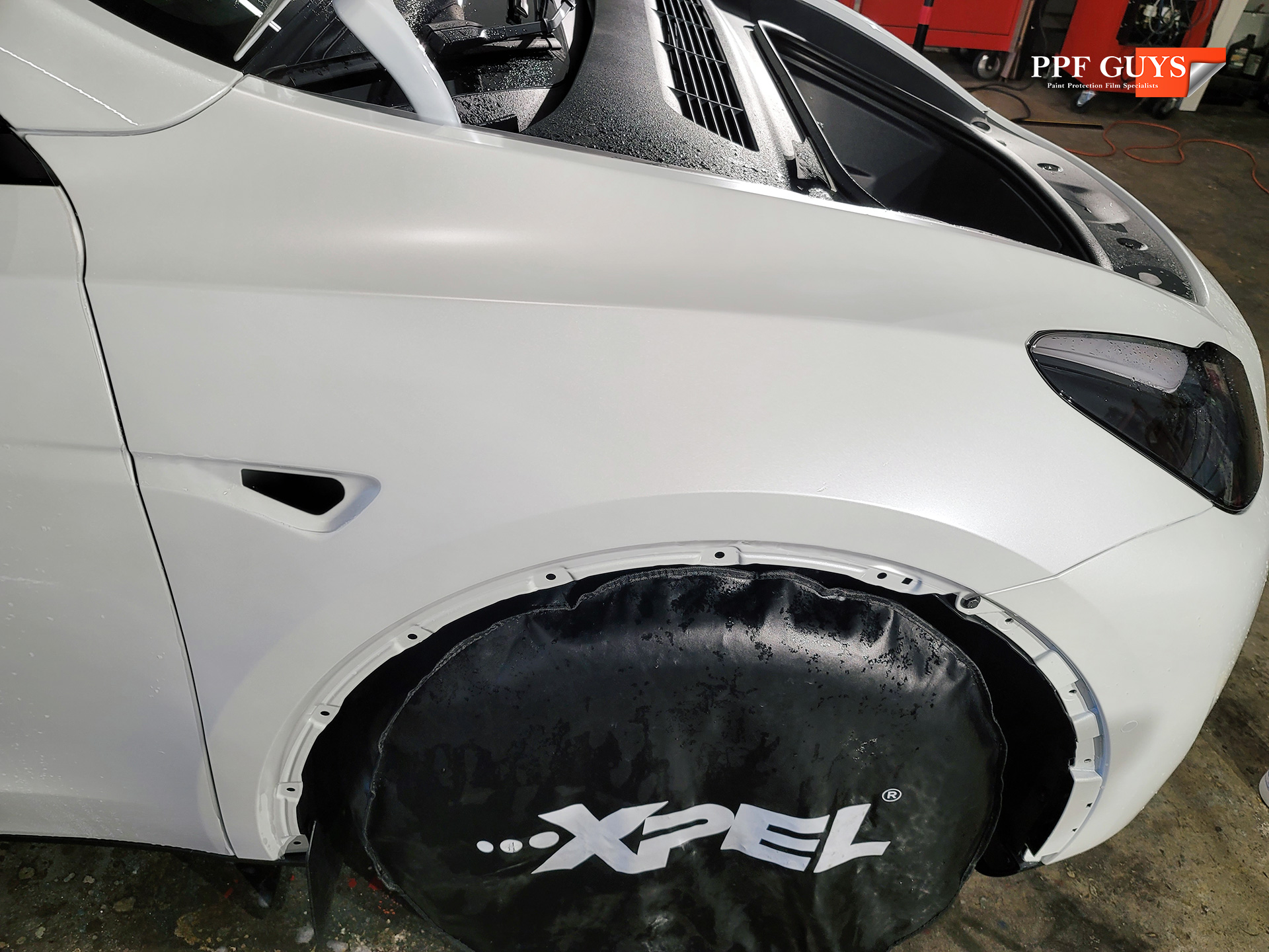 PPF Guys Model Y White Xpel Stealth, ceramic, painted emblems (11).jpg