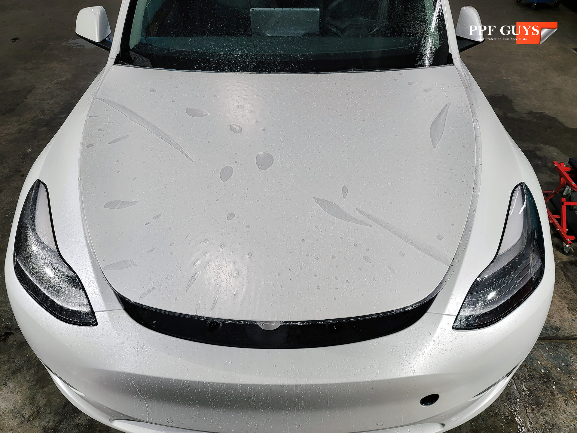 PPF Guys Model Y White Xpel Stealth, ceramic, painted emblems (14).jpg