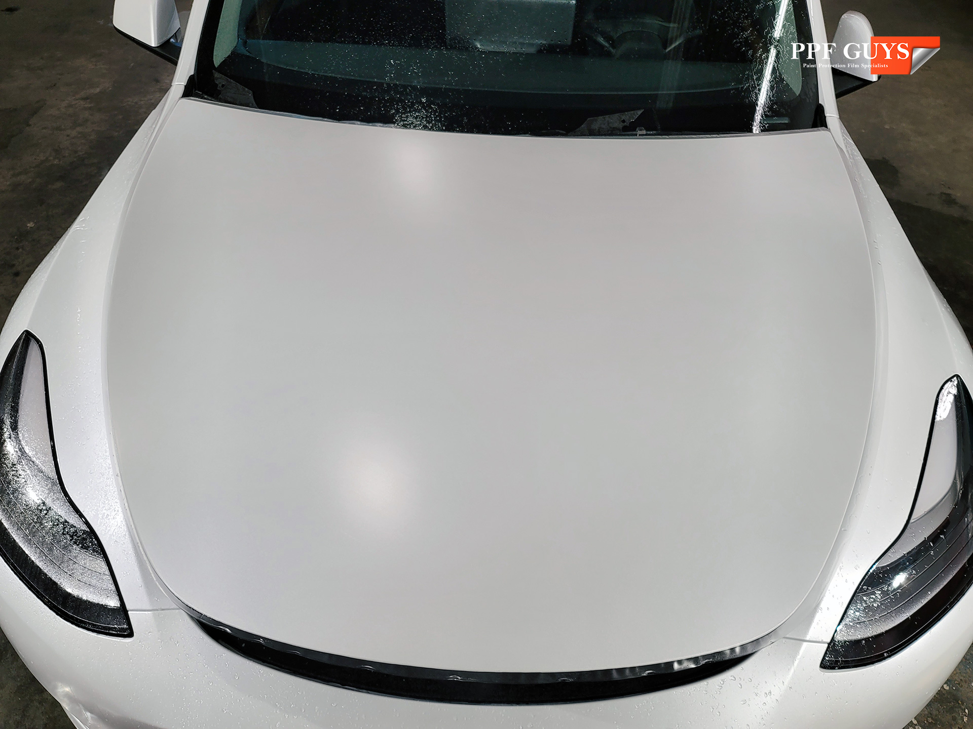 PPF Guys Model Y White Xpel Stealth, ceramic, painted emblems (15).jpg