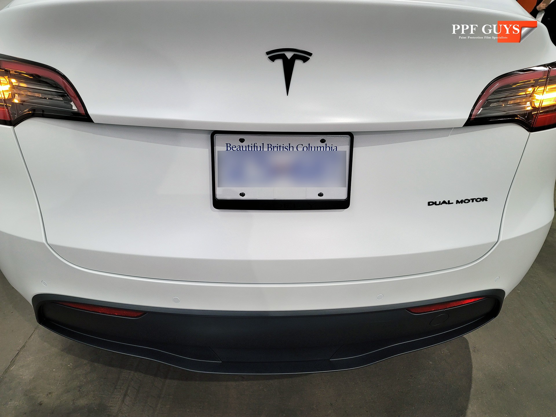 PPF Guys Model Y White Xpel Stealth, ceramic, painted emblems (31).jpg