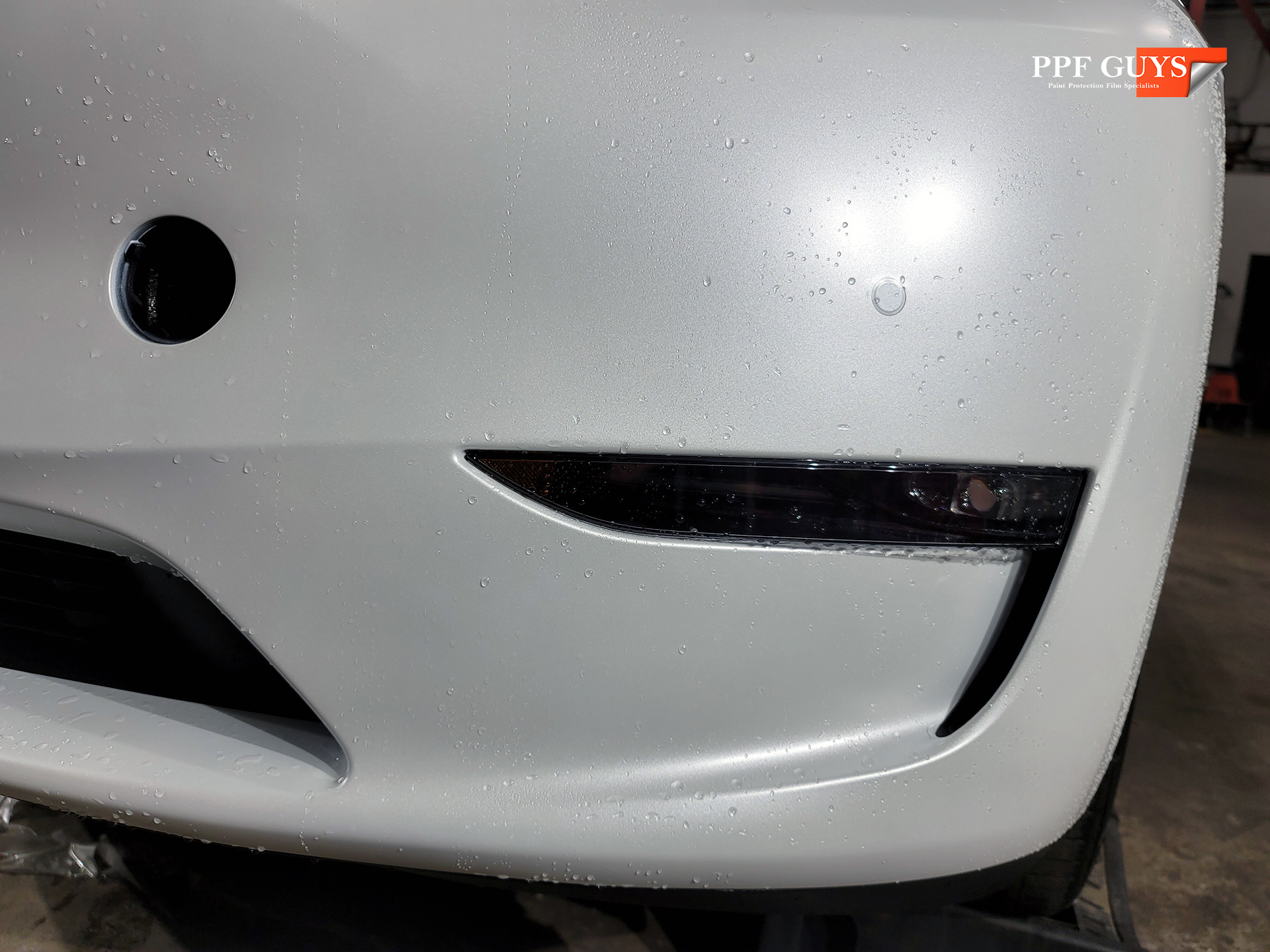 PPF Guys Model Y White Xpel Stealth, ceramic, painted emblems (5).jpg