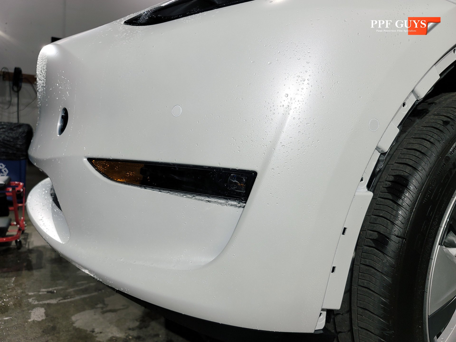 PPF Guys Model Y White Xpel Stealth, ceramic, painted emblems (7).jpg