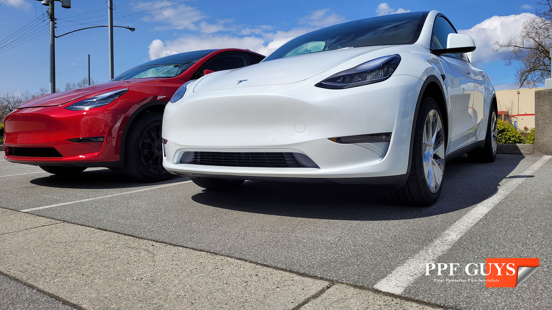 PPF Guys Tesla Model S,3,X,Y (5) copy.jpg