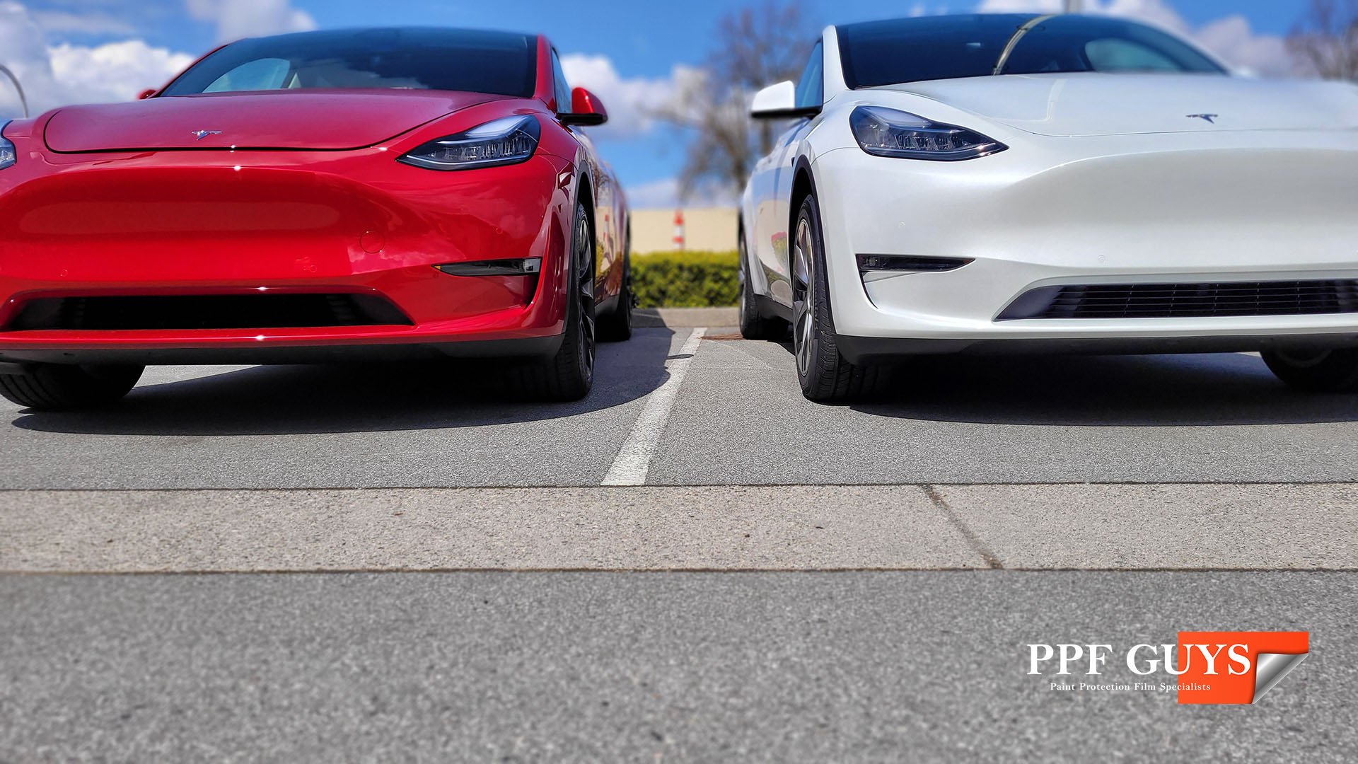PPF Guys Tesla Model S,3,X,Y (7) copy.jpg