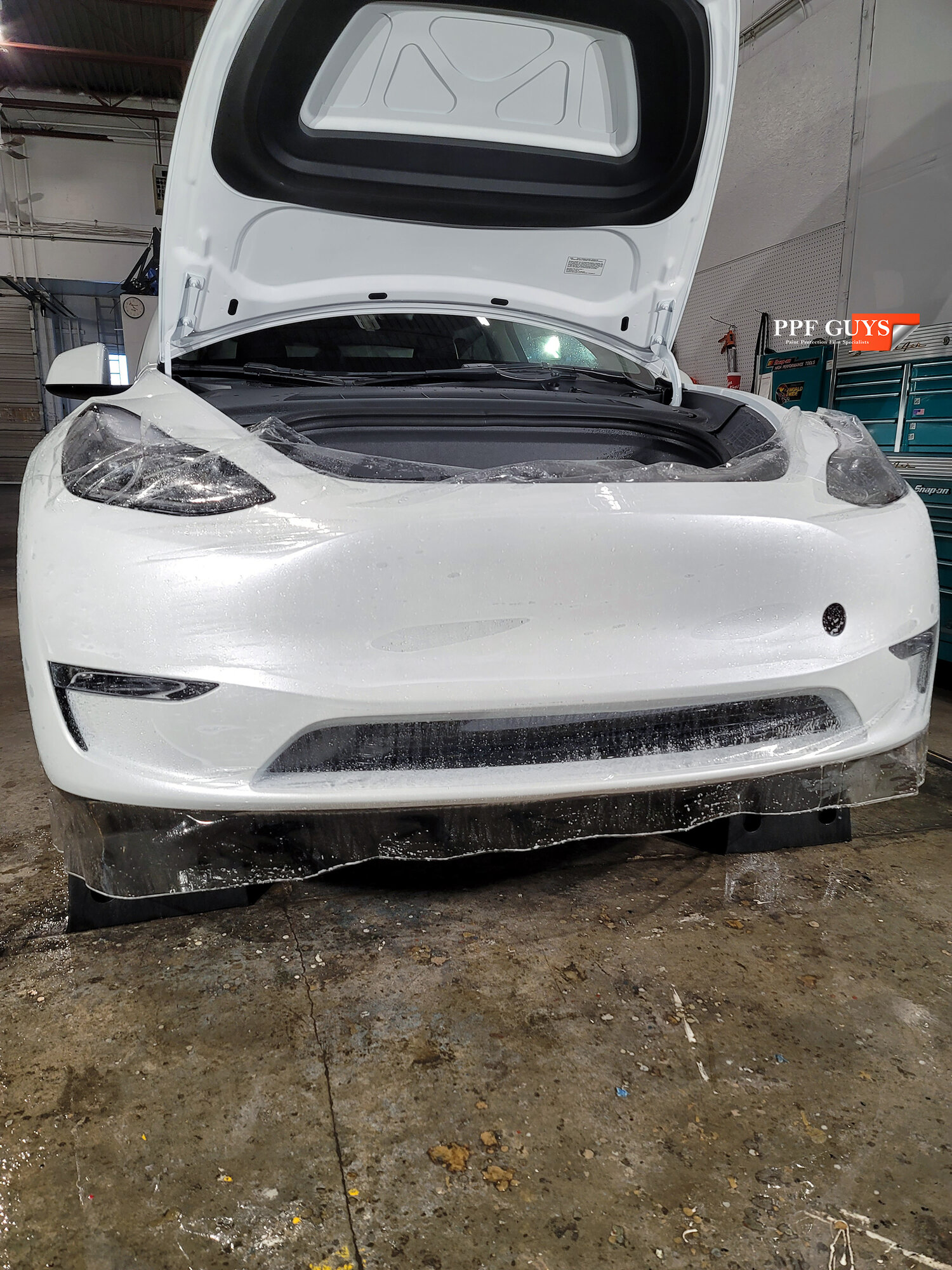 ppf guys white model y front end (1).jpg