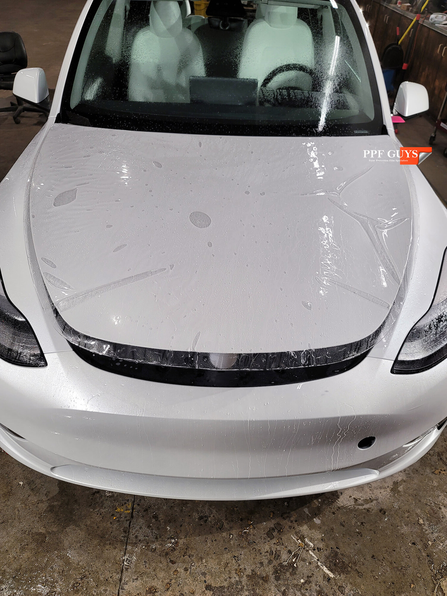 ppf guys white model y front end (2).jpg