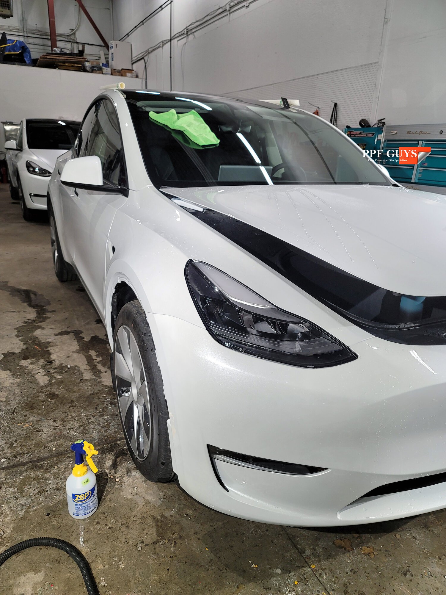 ppf guys white model y front end (2).jpg