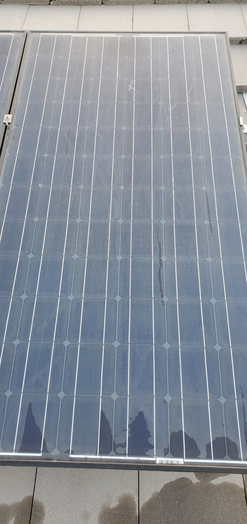 PV panels post-cleaning.jpg