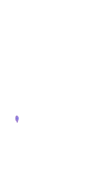 roadster_outline_ce.png
