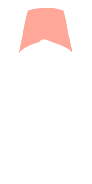 roadster_outline_hd.png