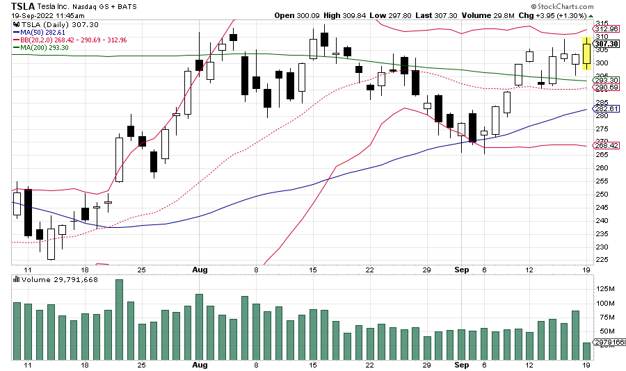 sc.TSLA.50-DayChart.2022-09-19.11-45.Capped.at.310.png