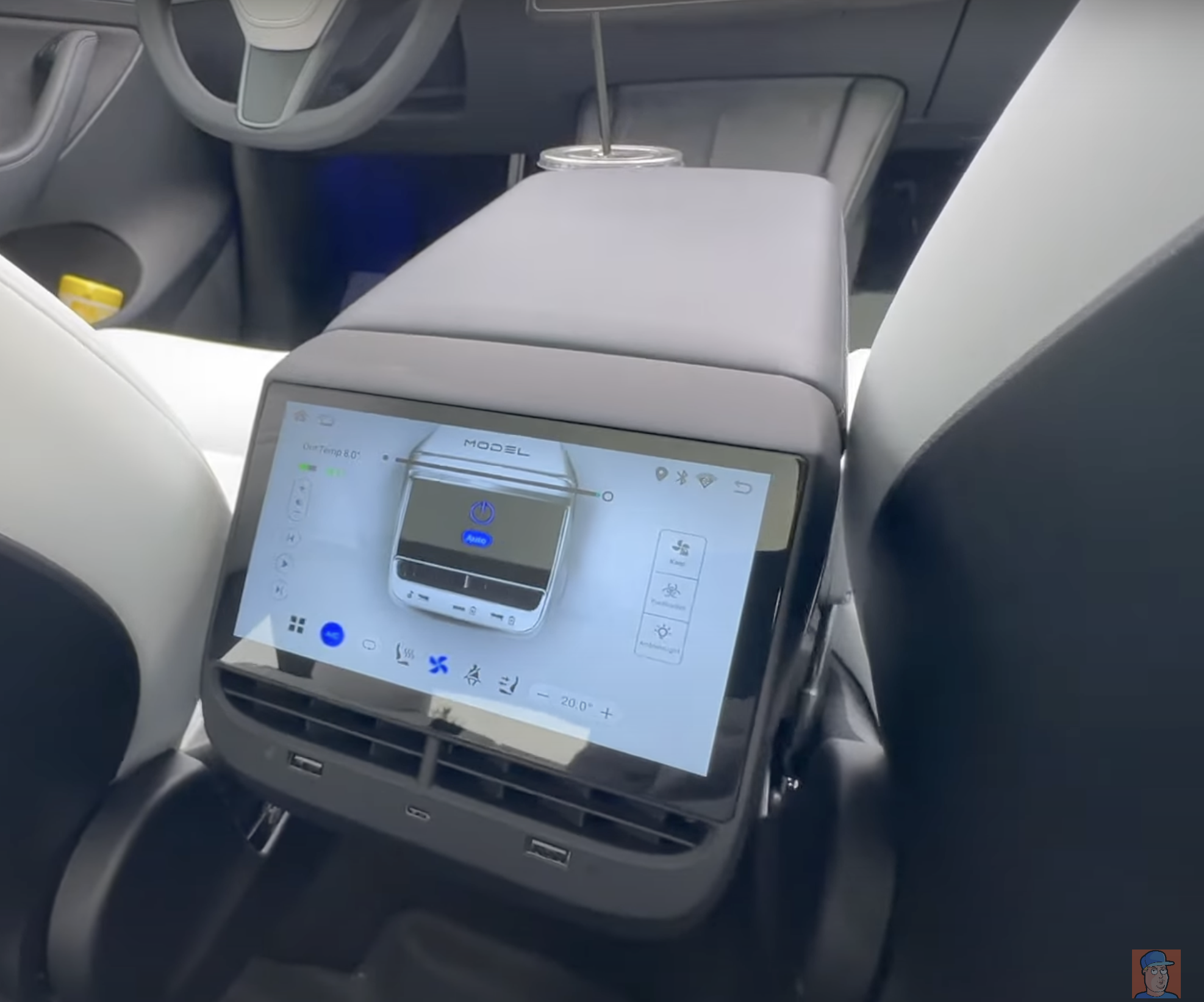 How about a Tesla Model 3 & Model Y rear screen with climate