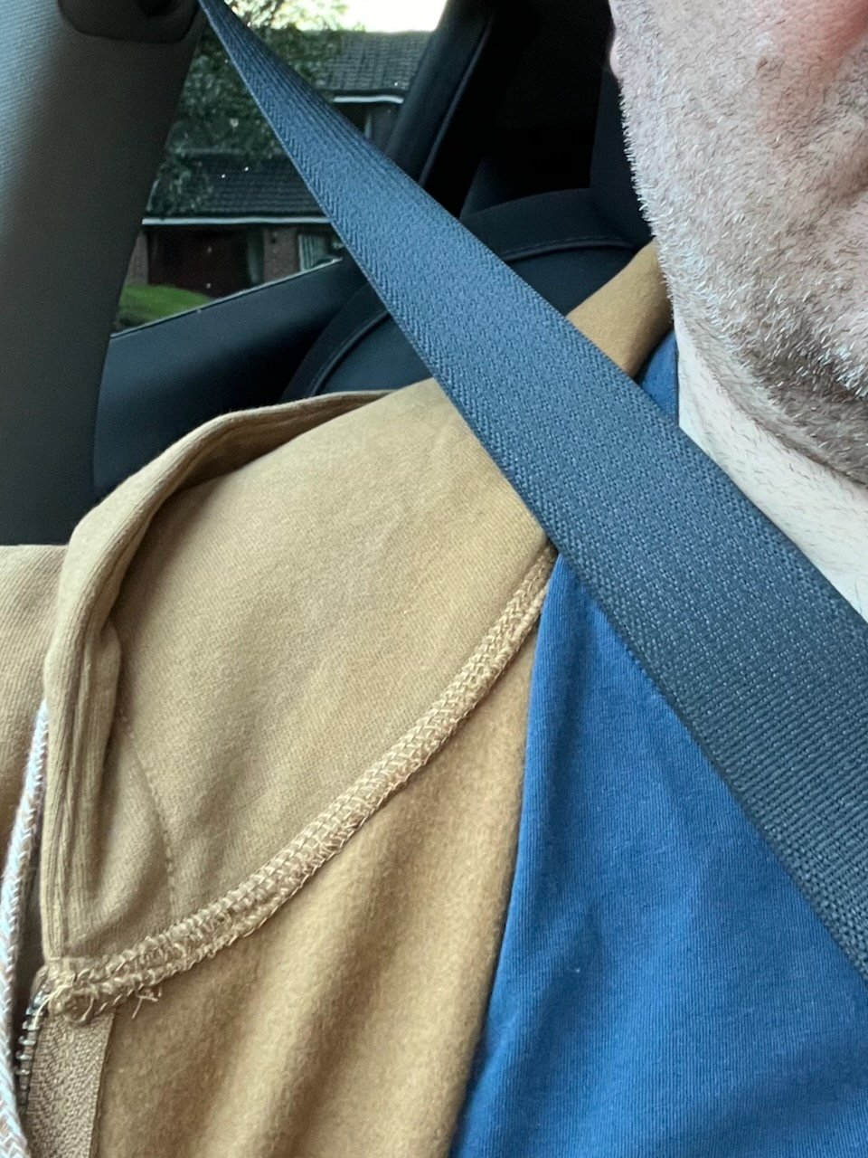 seatbelt.jpeg
