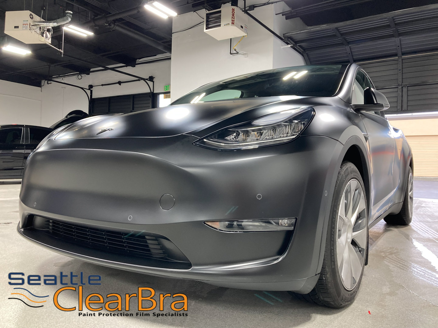 Vendor - Tesla Xpel STEALTH Clear Bra Paint Protection Film