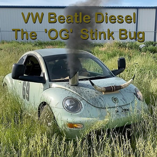 Stink Bug.jpg