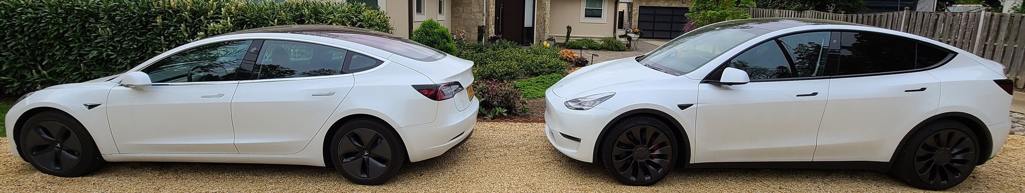 Tesla 3 Y.jpg