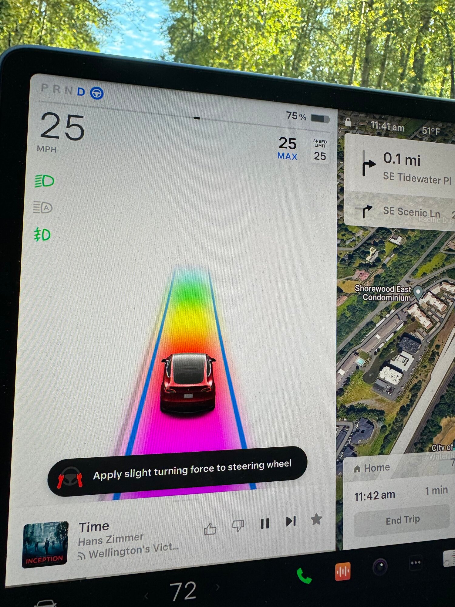 Tesla Autopilot Rainbow display.jpeg
