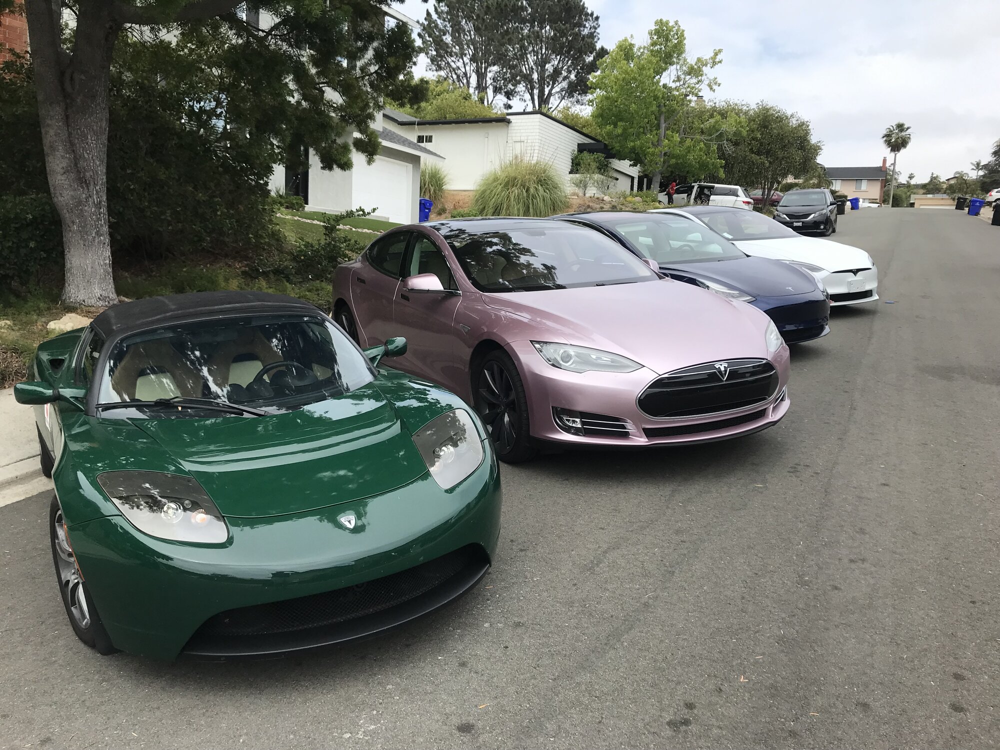 Tesla Family 1.jpeg
