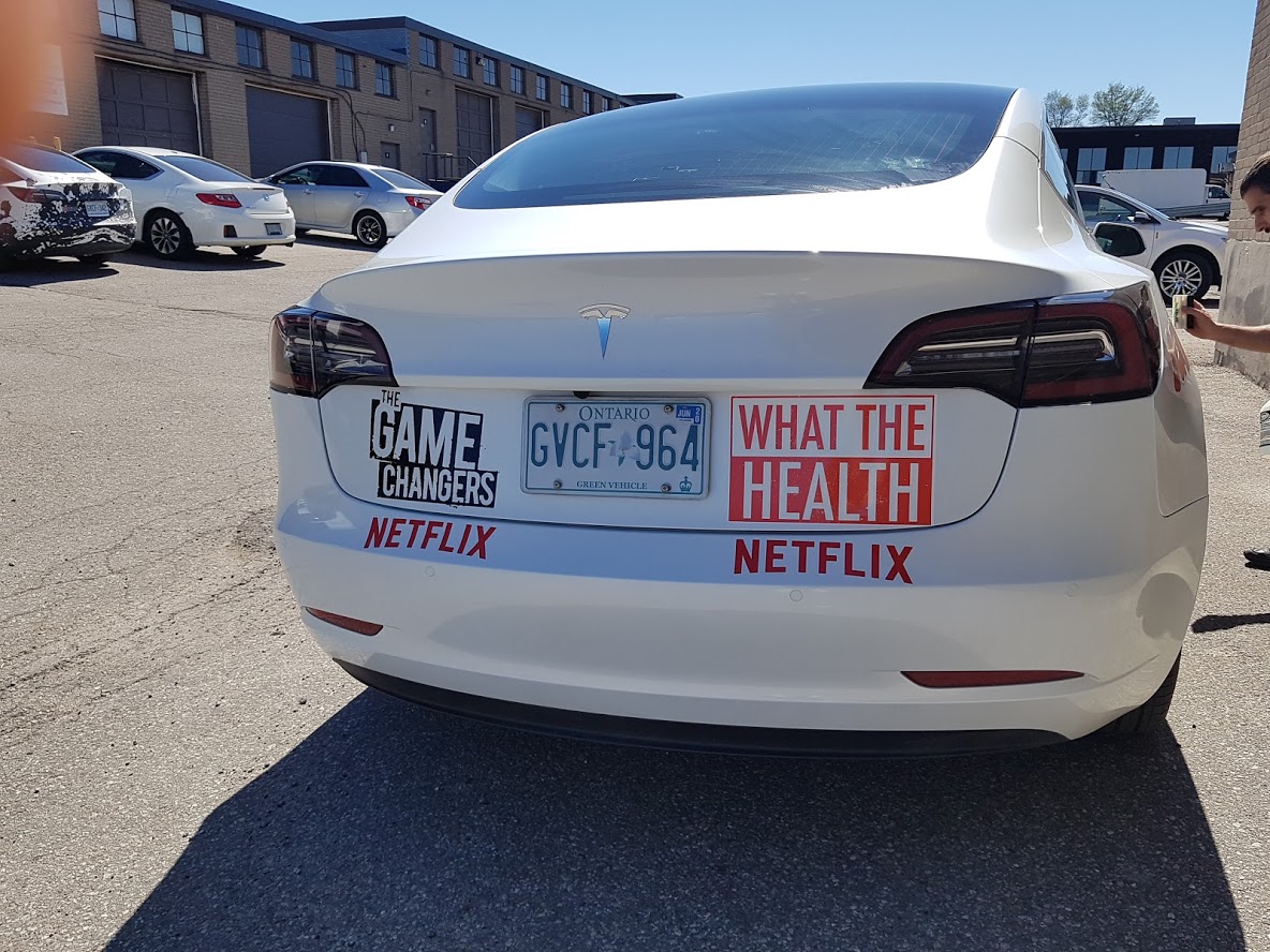 tesla game changers what the health.jpg