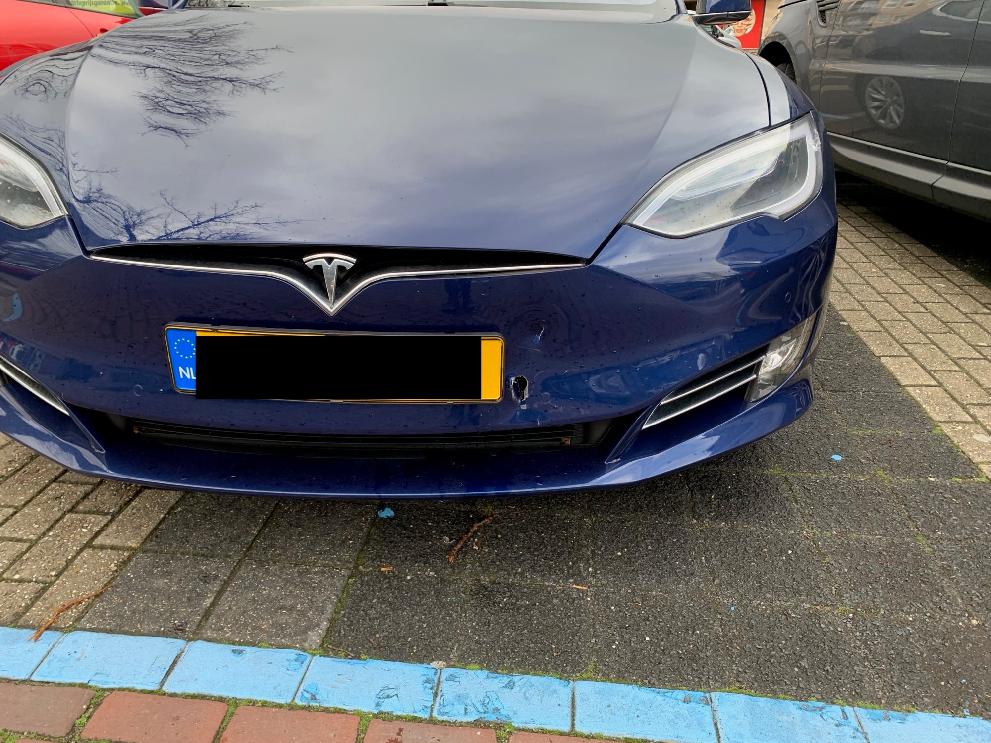 Tesla gat bumper.jpg