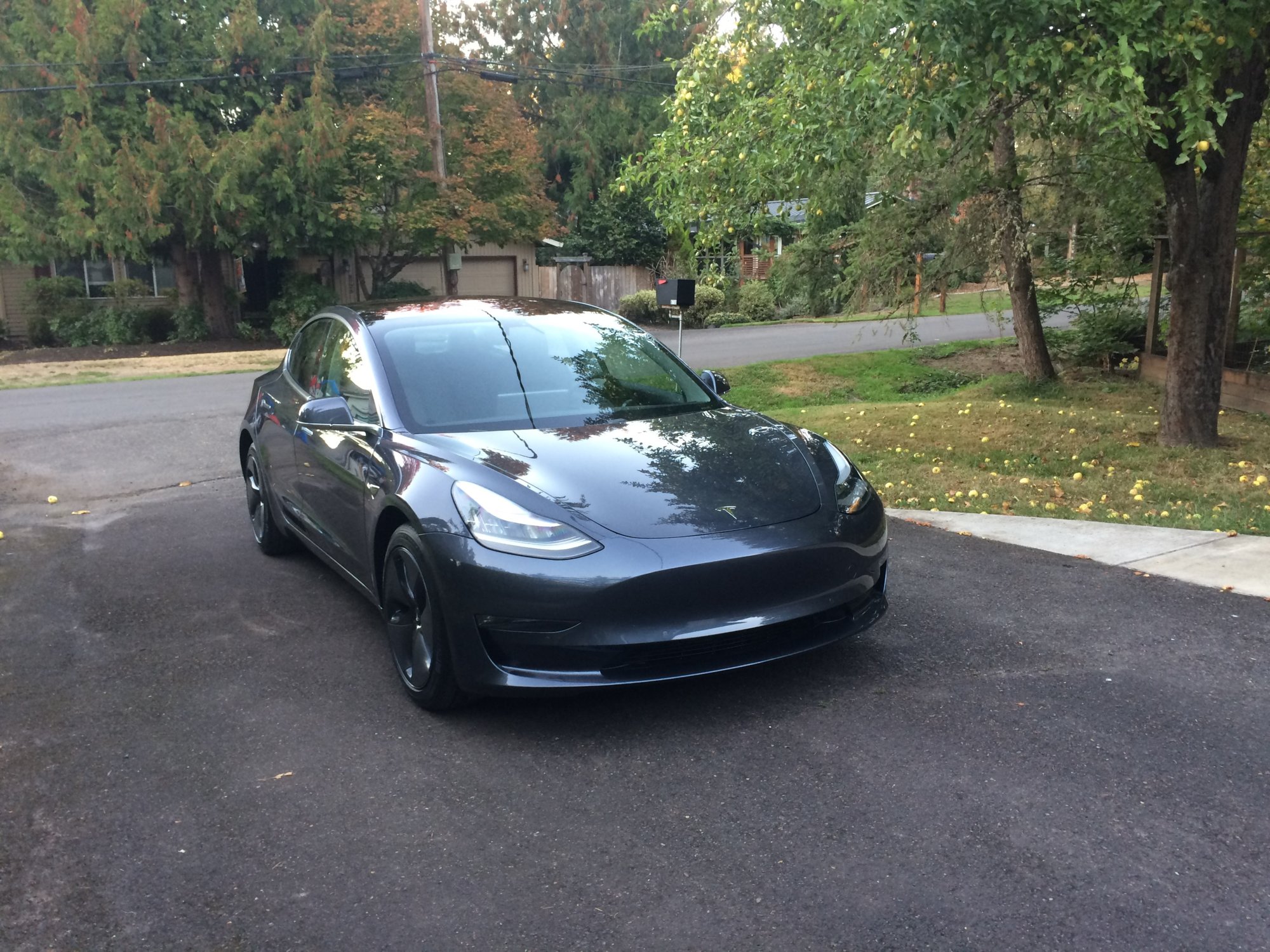 Tesla Model 3 front passenger view.jpg