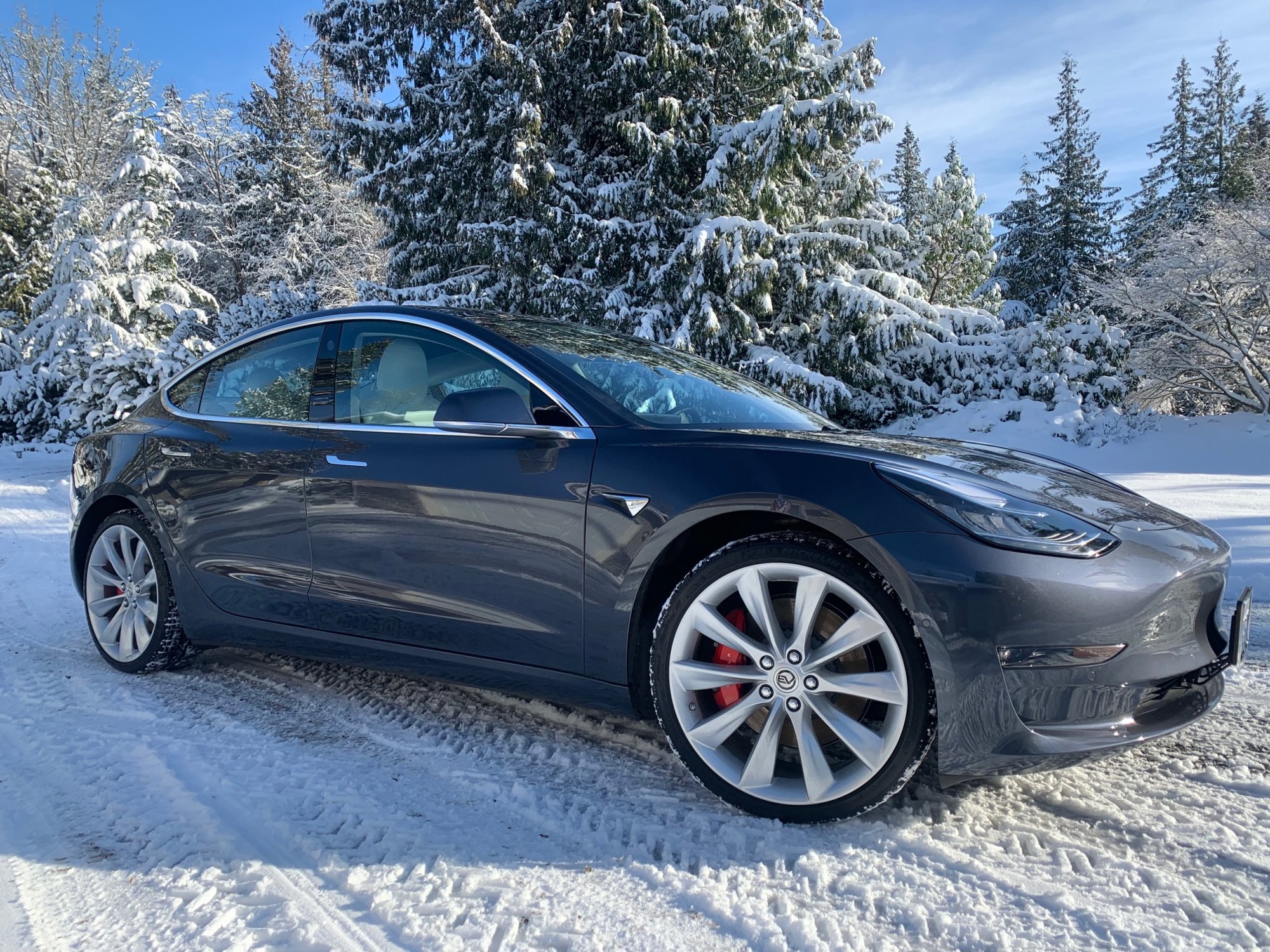 Tesla Model 3P in Snow.jpg