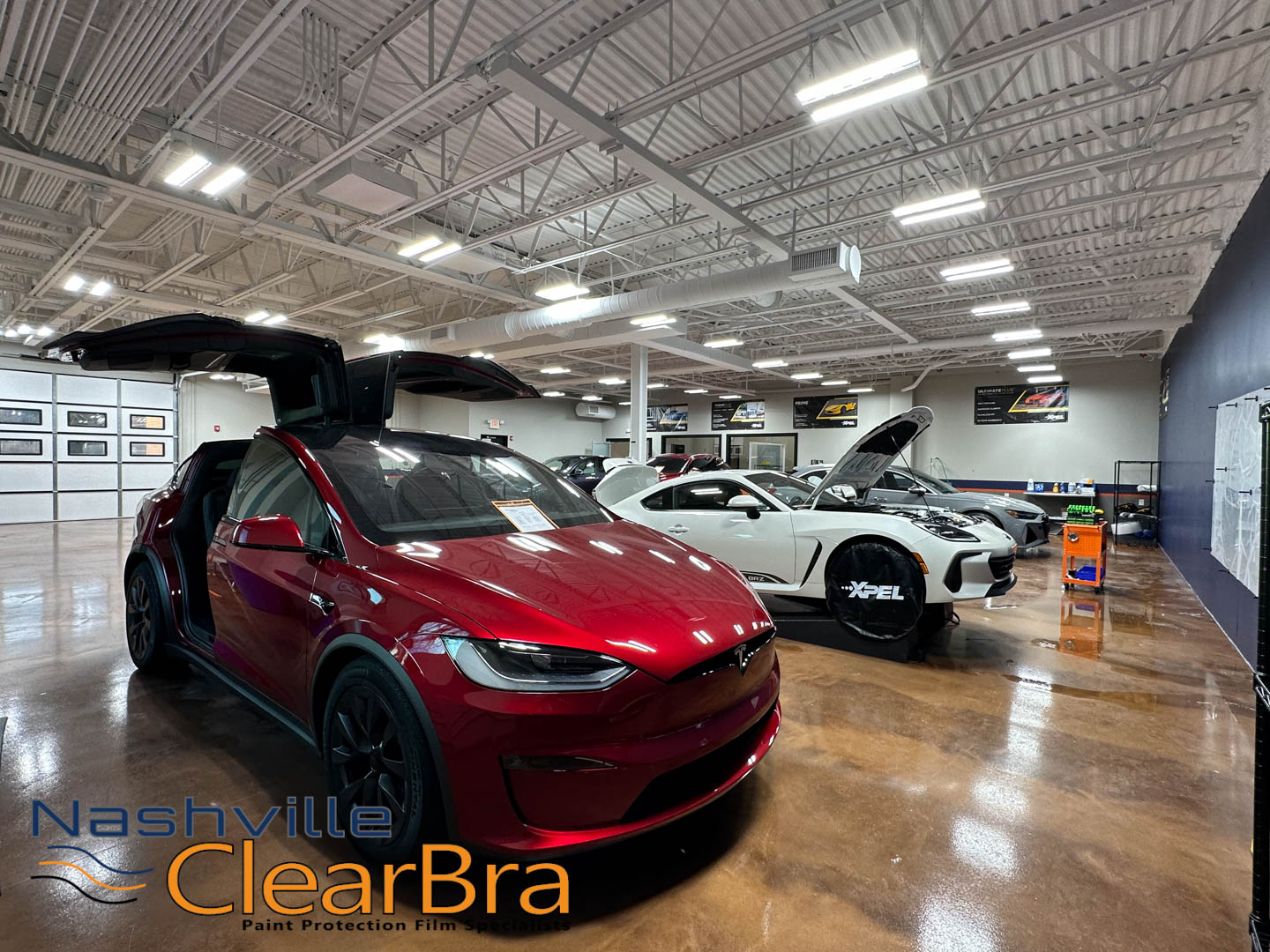 Xpel Clear Bra Paint Protection Film PPF Brentwood - Nashville