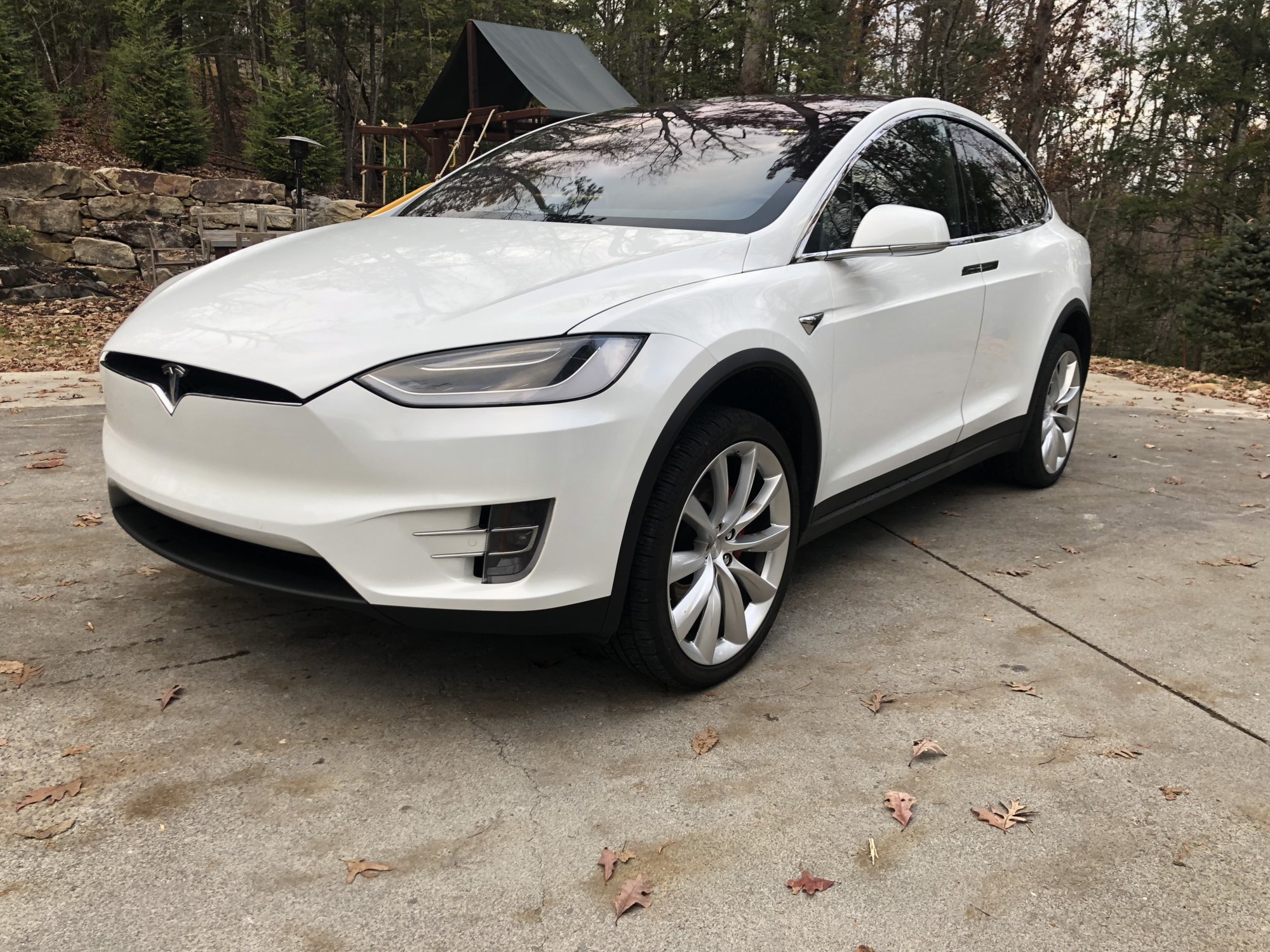 Tesla Model X4.JPG