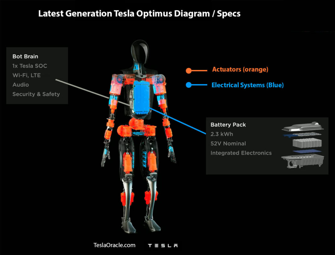 Tesla-Optimus-Labeled-Diagram-Aug-2022.jpg