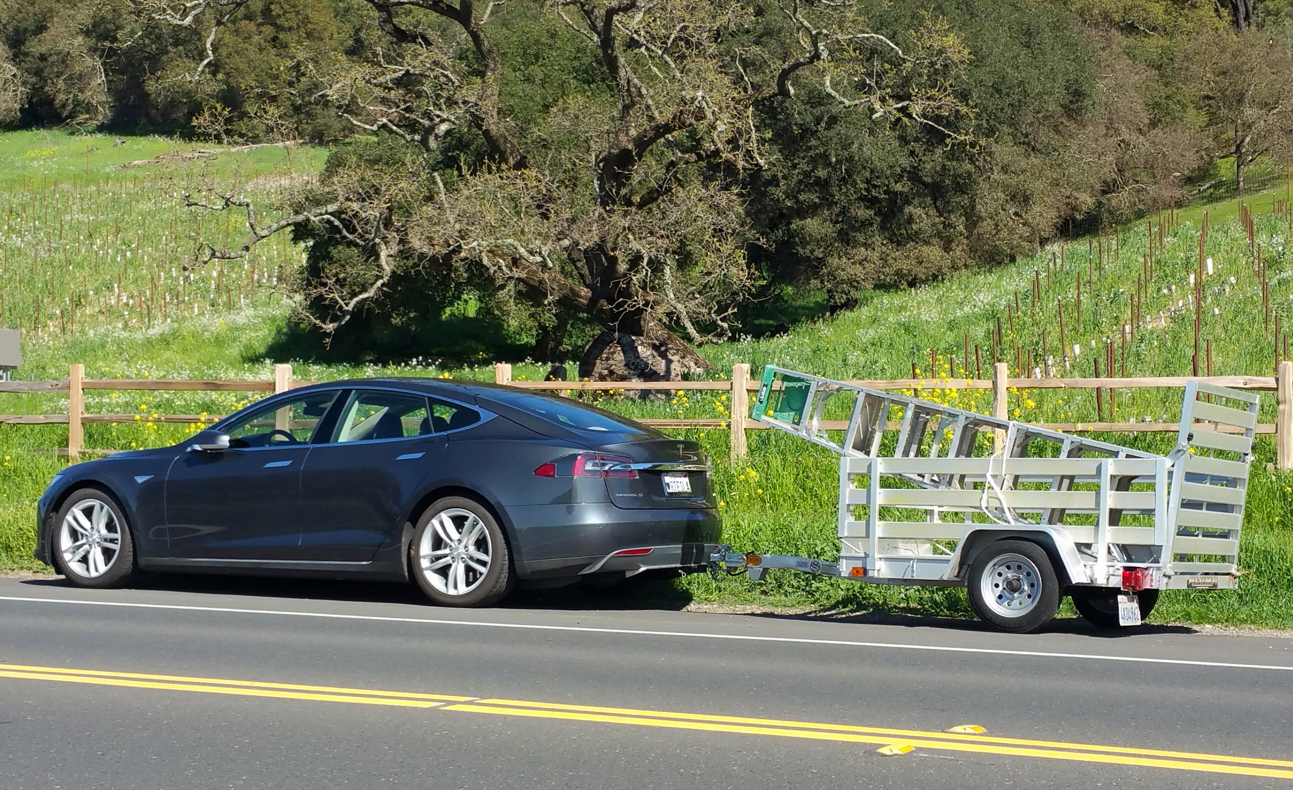 Tesla Pickup.jpg