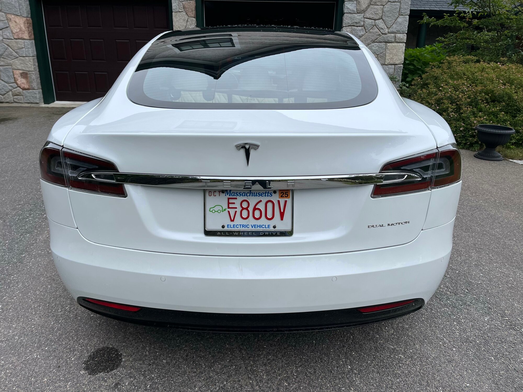 Tesla Rear View.jpg