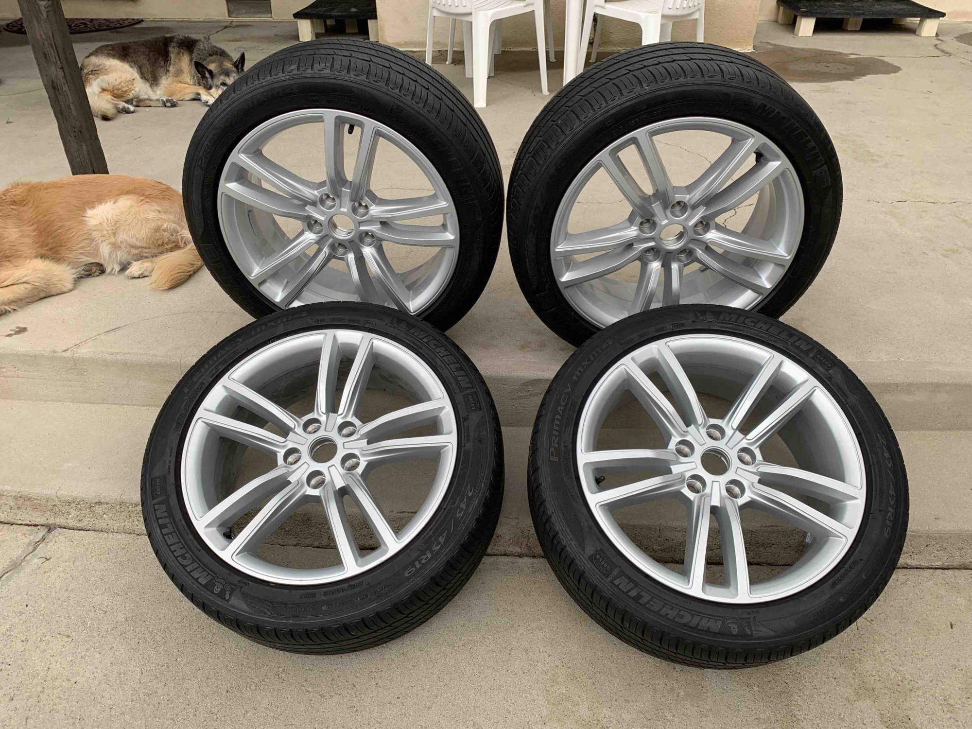 Tesla Rims and Tires.jpg