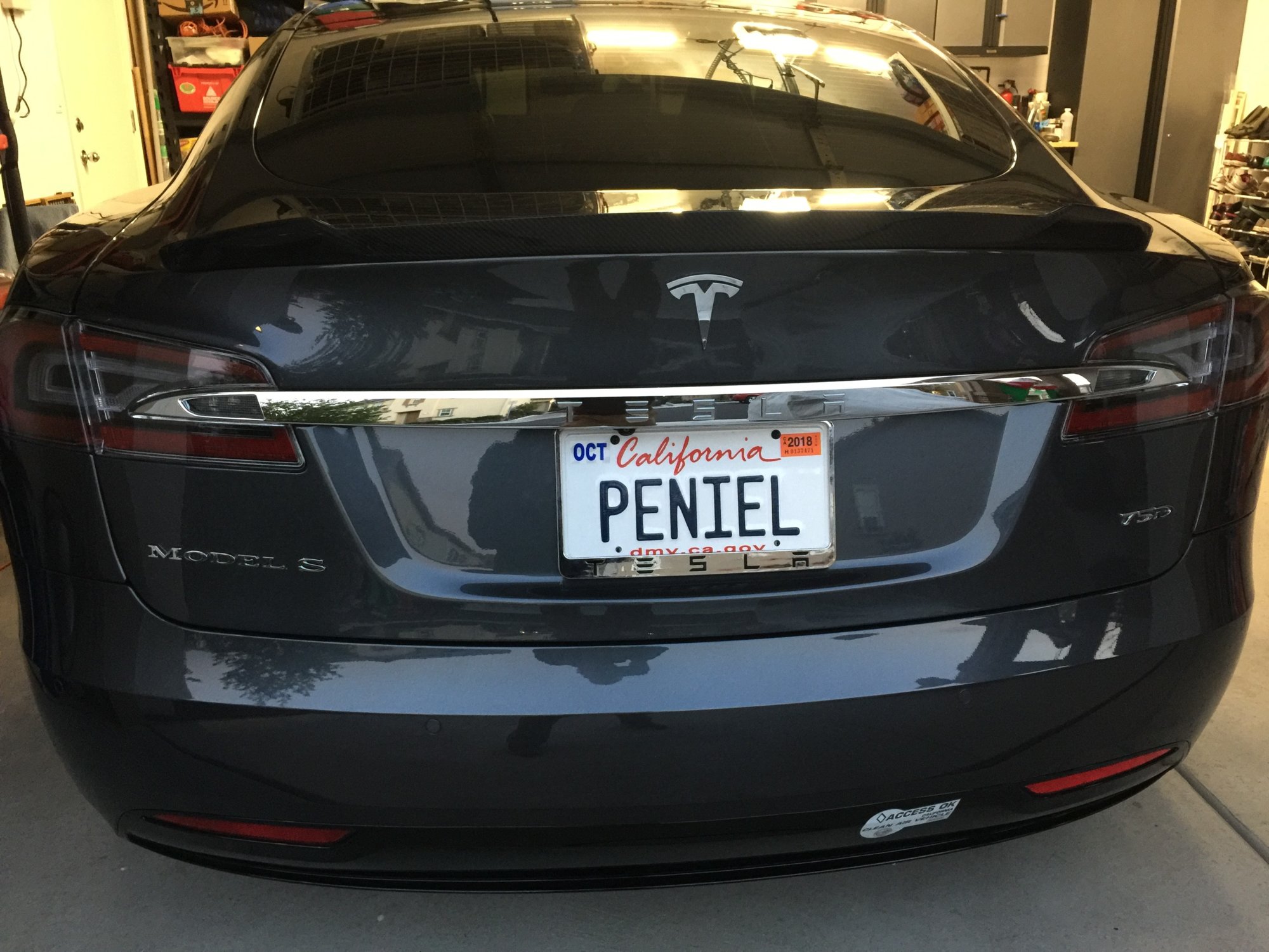 Tesla S Rear.jpg