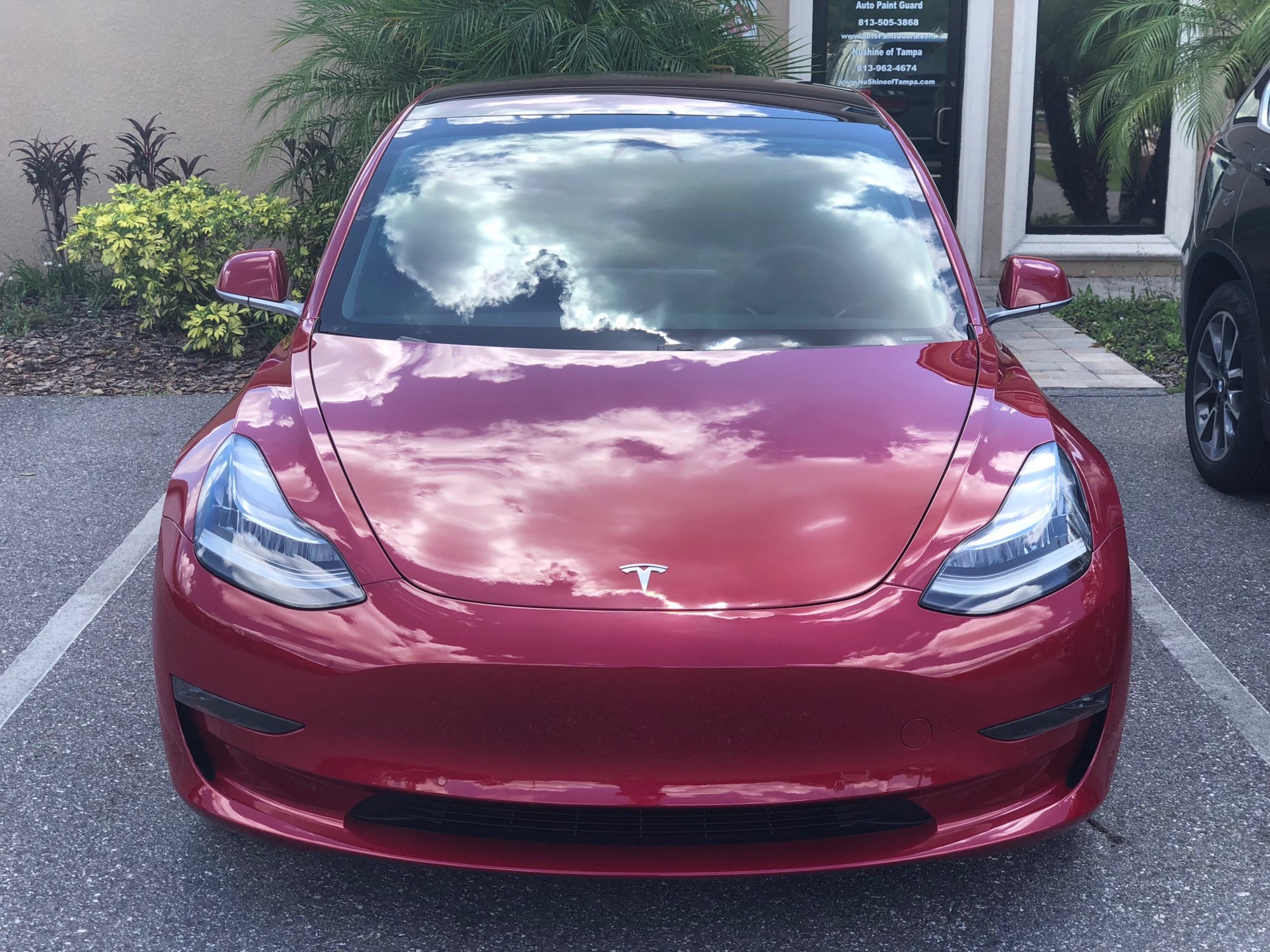 Tesla Tampa clear bra.jpg