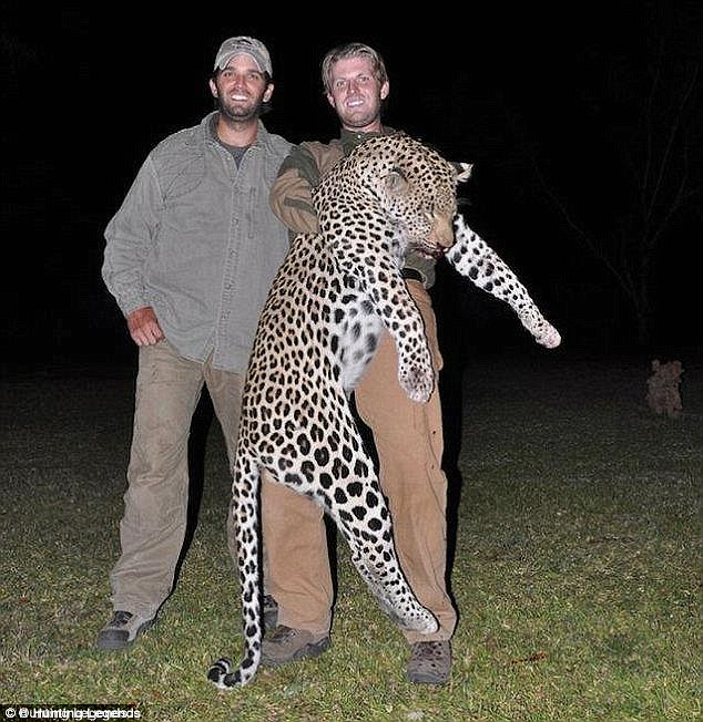 Trump_sons_leopard.jpg-large.jpg