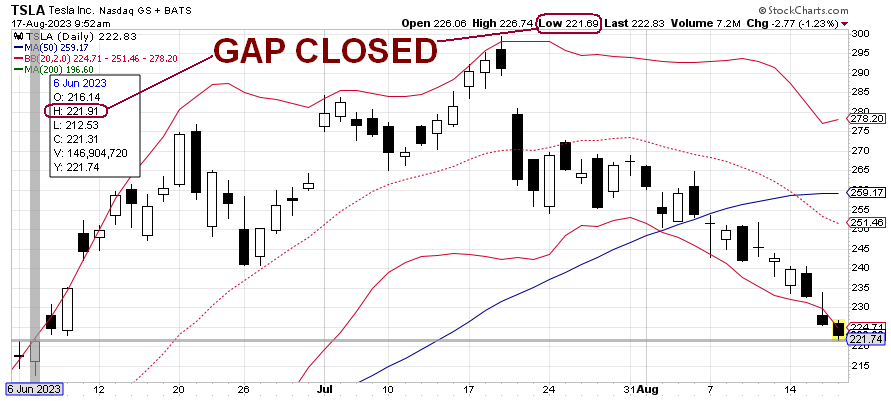 TSLA.2023.06-06.to.2023-08-18.GapClosed.png