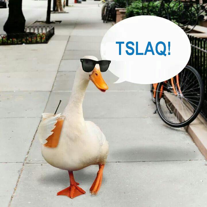 TSLAQ.duck.jpg