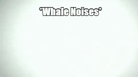 whale-noises.gif