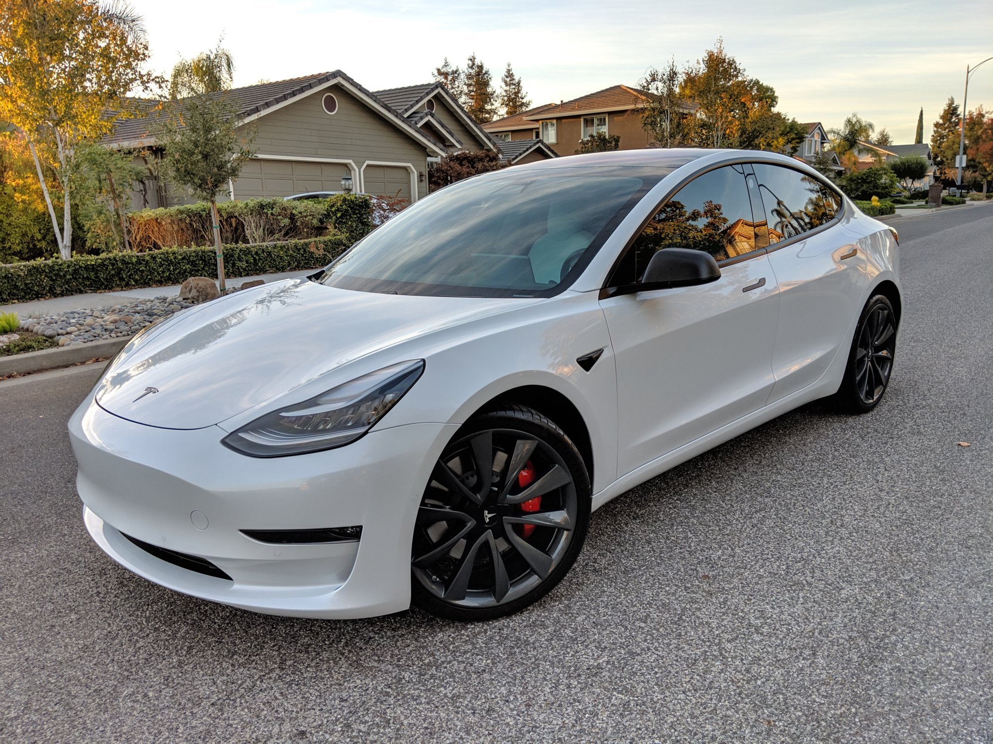 Witte Tesla.jpg