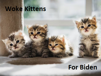 Woke Kittens.png