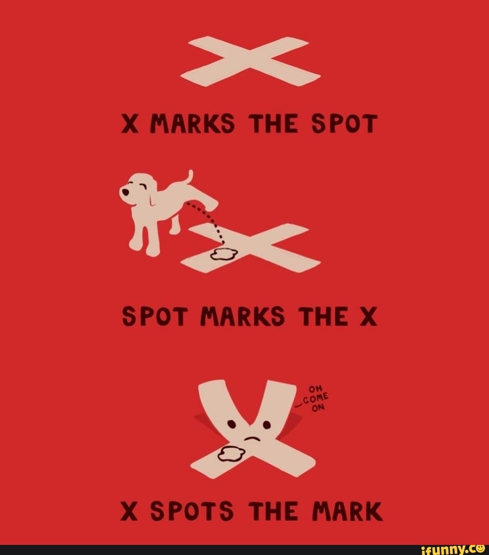 X marks the Spot vise versa.jpg