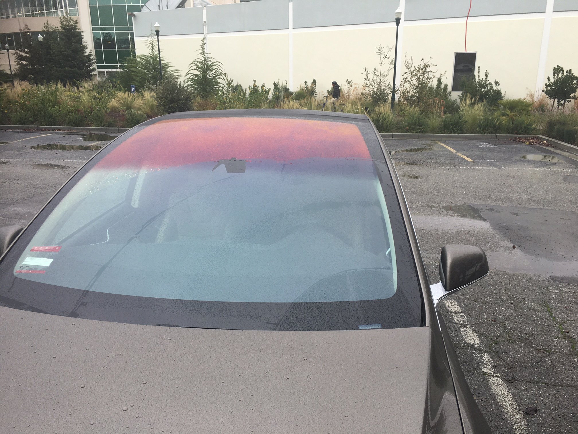 x windshield rain.JPG