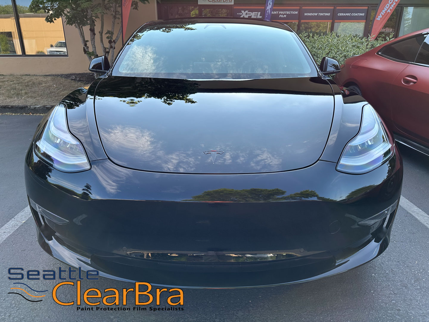 Tesla Model 3 Clear Bra PPF - Seattle ClearBra