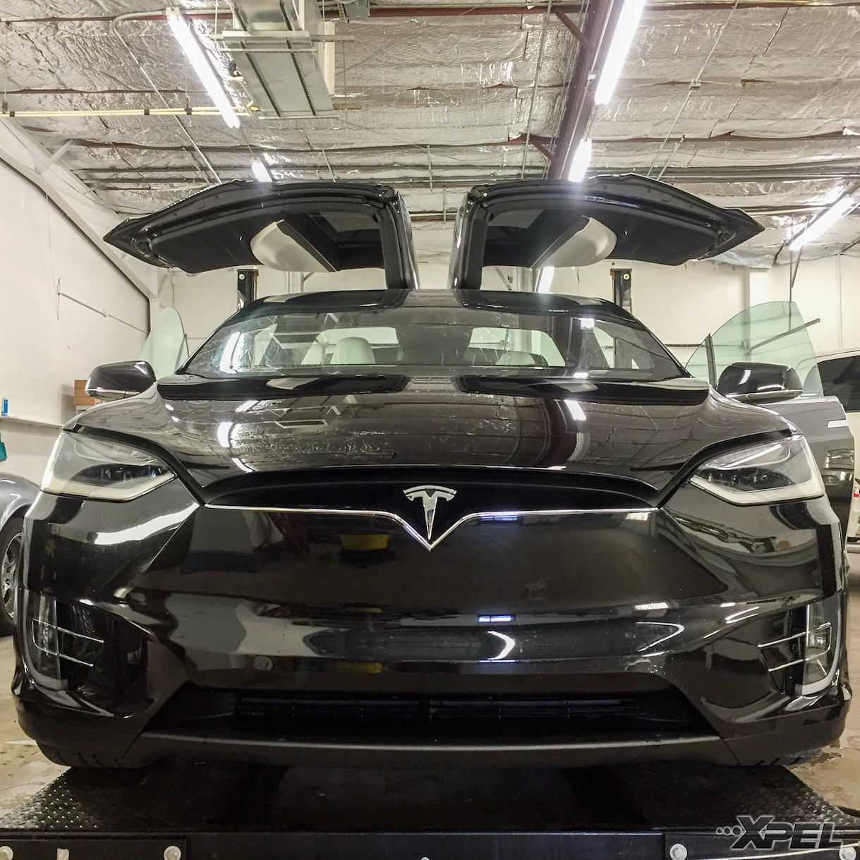 XPELAUSTIN Tesla Model X-6.jpg