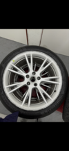 Model Y Gemini Wheels and Tires