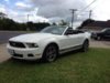 Mustang 2010.jpg