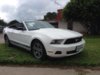 Mustang 2010 (4).jpg